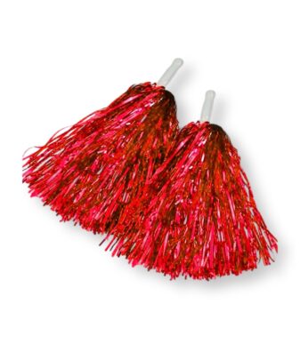 Cheering Pom Pom Pair